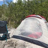 Review photo of Bow-tie Island Primitive Campsite by Dave V., May 24, 2019