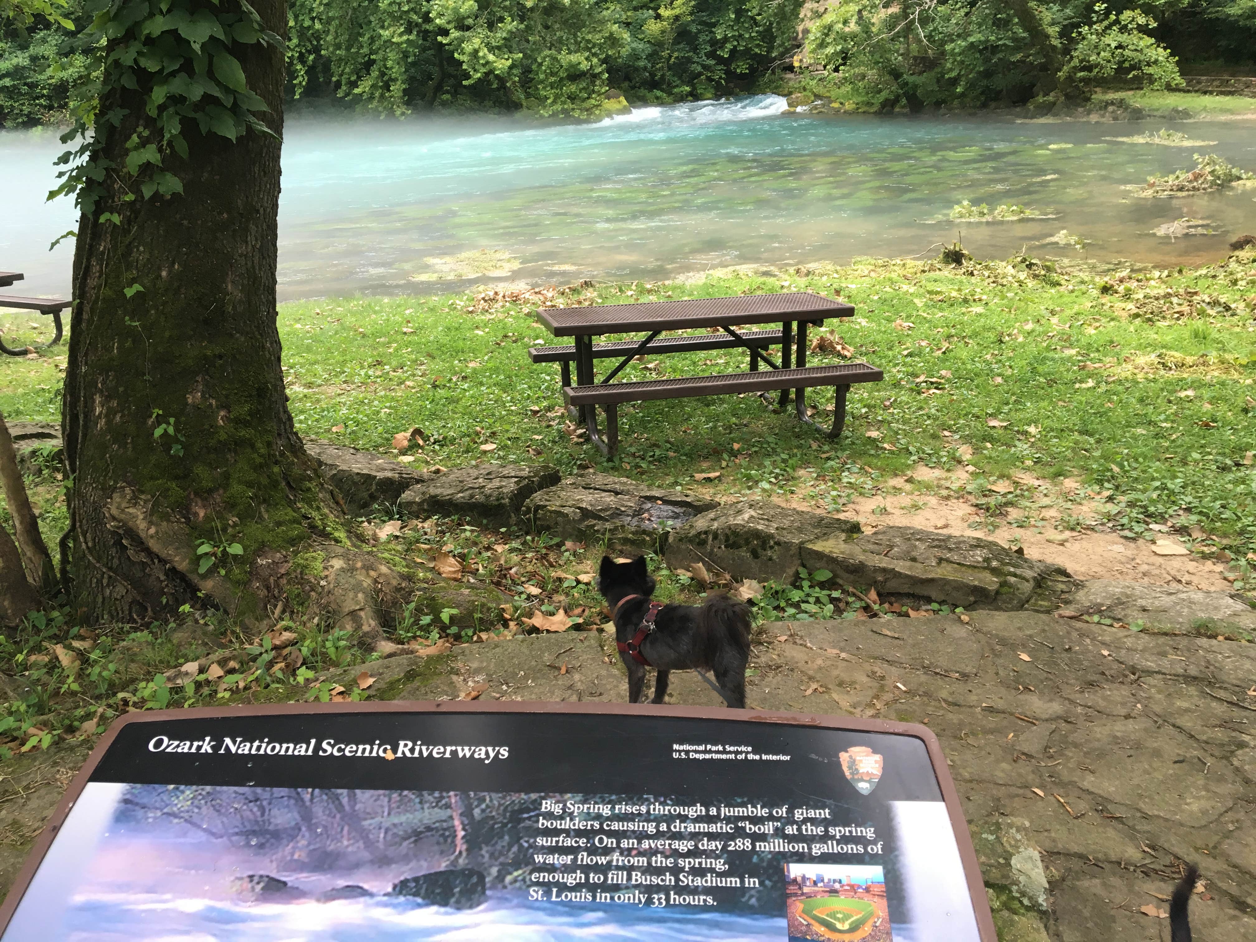 Camper submitted image from Big Spring Campground — Ozark National Scenic Riverway - 3