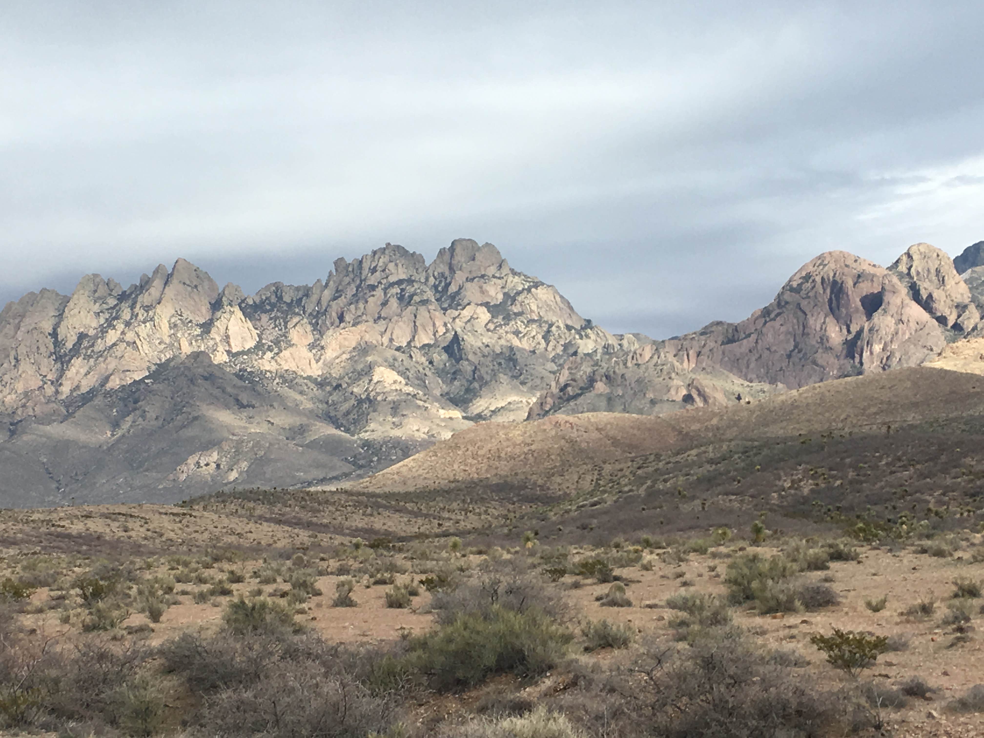 Oliver Lee Memorial State Park Campground