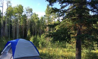 Camping near Craig KOA: Freeman Reservoir Campground, Slater, Colorado