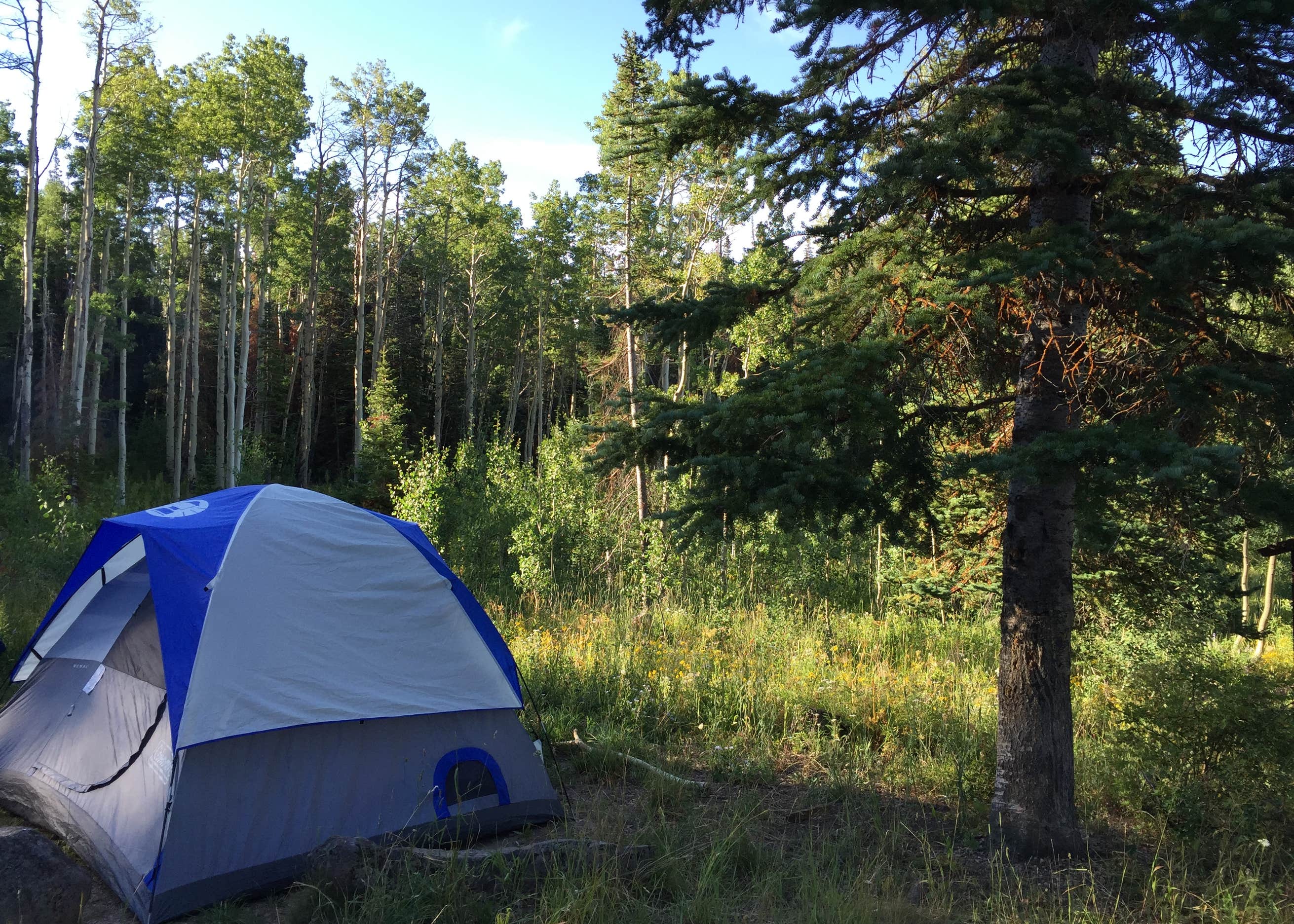 Freeman Reservoir Campground Camping The Dyrt