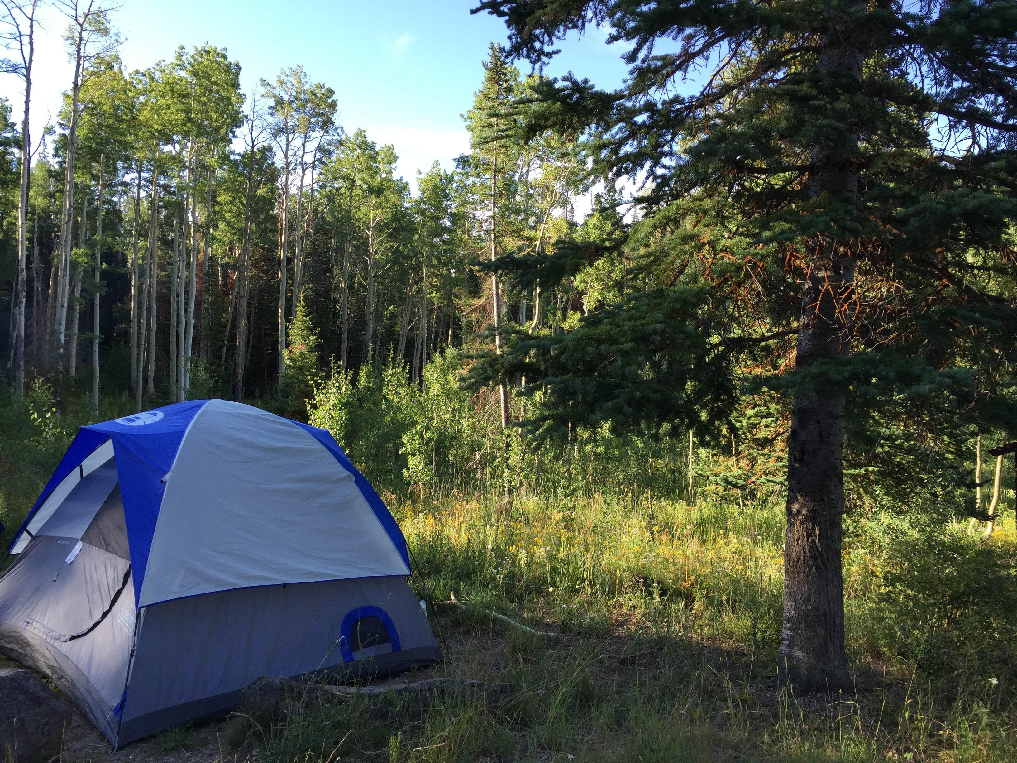 Escape to Serenity:  Freeman Reservoir Campground, Colorado's Hidden Gem