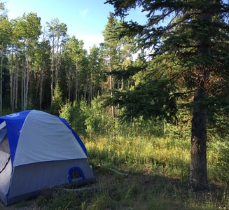 Camper-submitted photo from Freeman Reservoir Campground