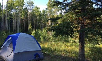 Camping near South Beach - Yampa River State Park: Freeman Reservoir Campground, Slater, Colorado