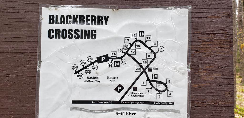 Camper submitted image from Blackberry Crossing - 5