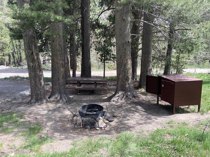 Camper submitted image from Kit Carson Campground - 3