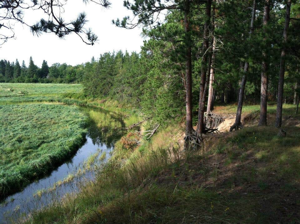 Camper submitted image from Bear Den Landing Canoe Camp - 2