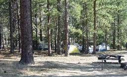 Camping near Butler Butte Cabin: Devil's Flat Campground, Tiller, Oregon