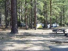 Camper submitted image from Devil's Flat Campground - 1