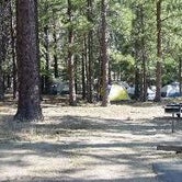Review photo of Devil's Flat Campground by Tim W., August 13, 2015
