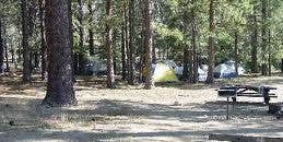 Camper submitted image from Devil's Flat Campground