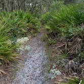 Review photo of Conner Preserve by Steve S., August 30, 2016