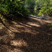 Review photo of Conner Preserve by Steve S., August 30, 2016
