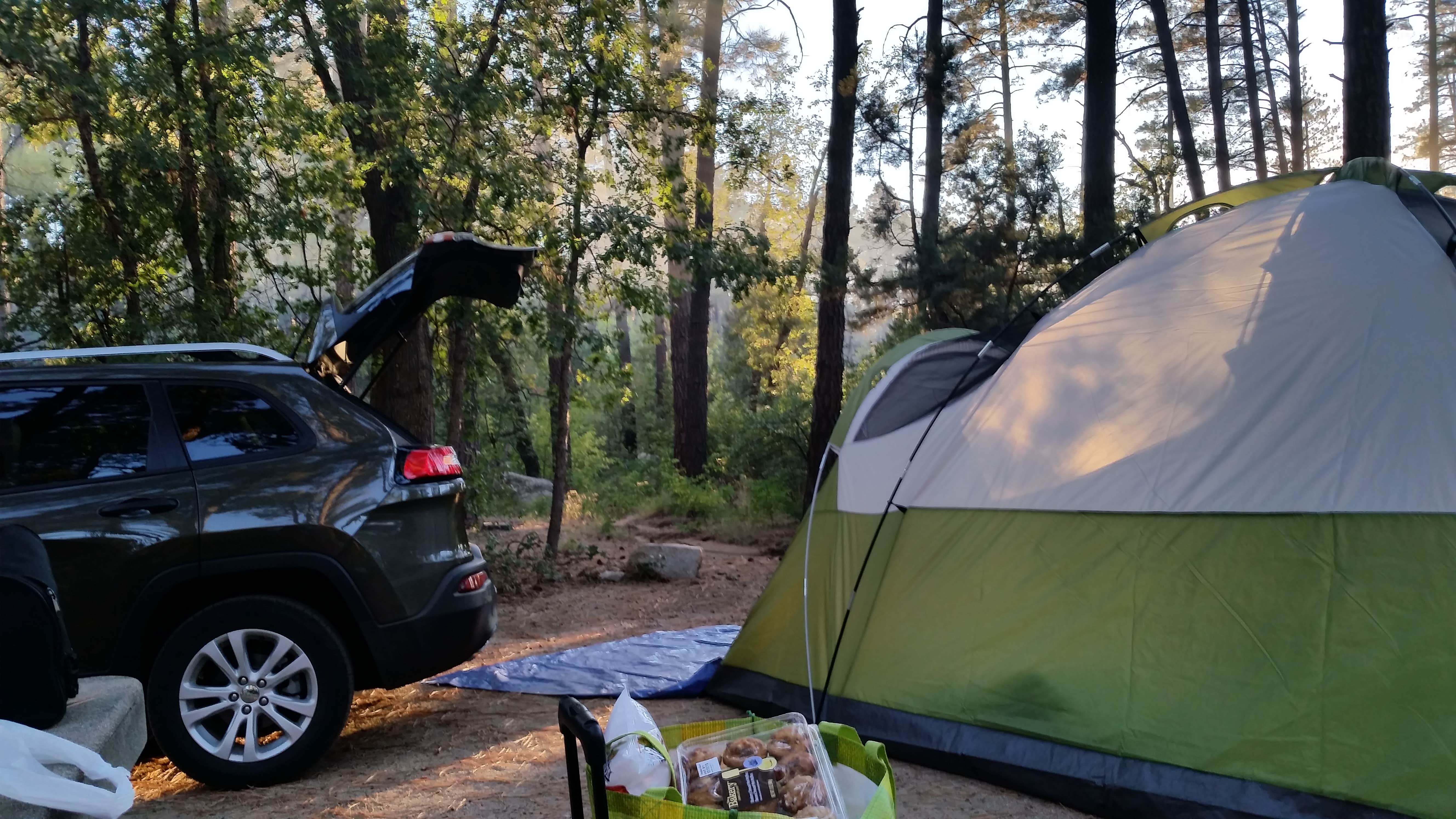 Camper submitted image from Lower Wolf Creek Campground - 4