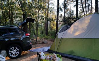 Kathy W.'s photo at Lower Wolf Creek Campground near Crown King, AZ