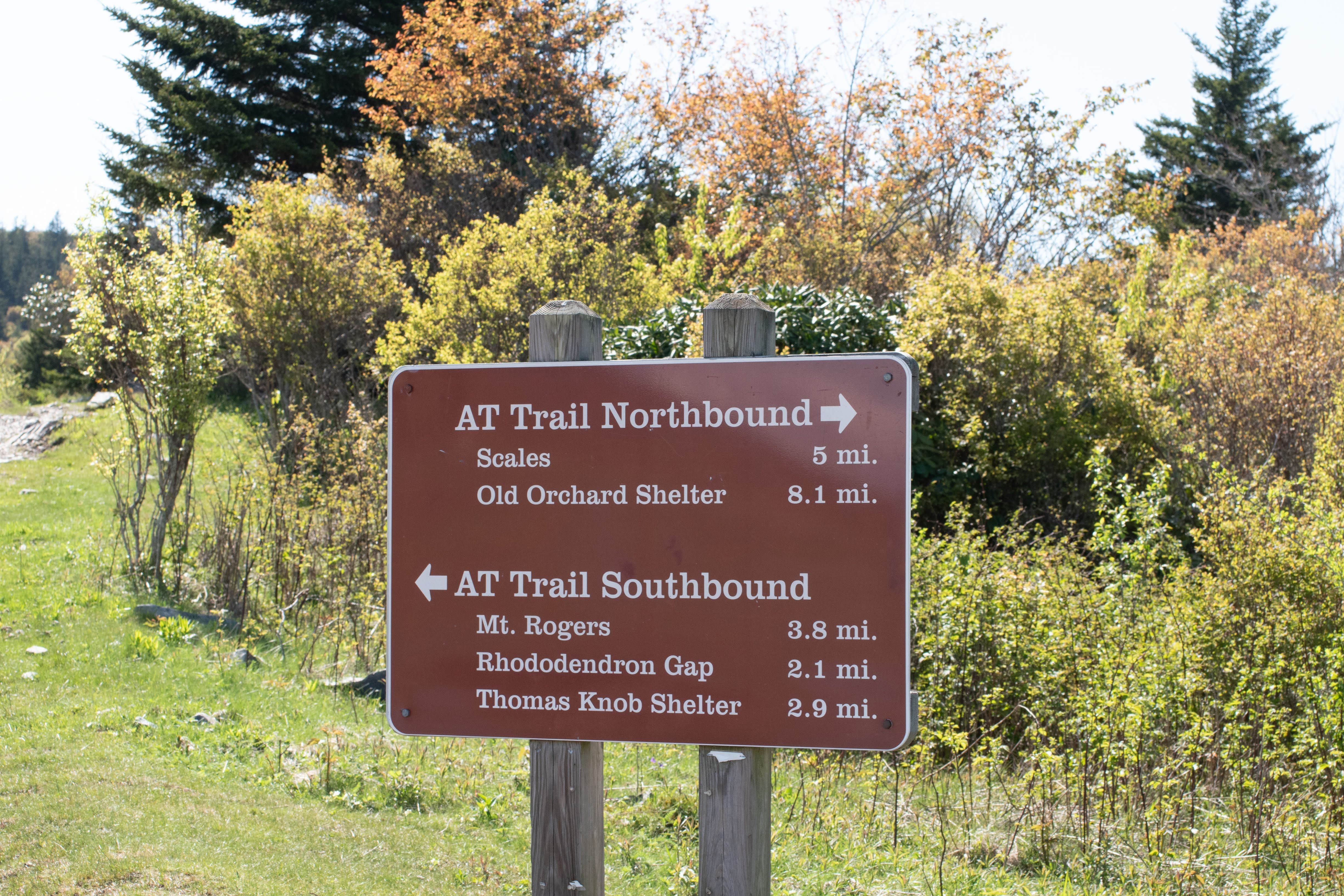 Camper submitted image from Hickory Ridge Campground — Grayson Highlands State Park - 4