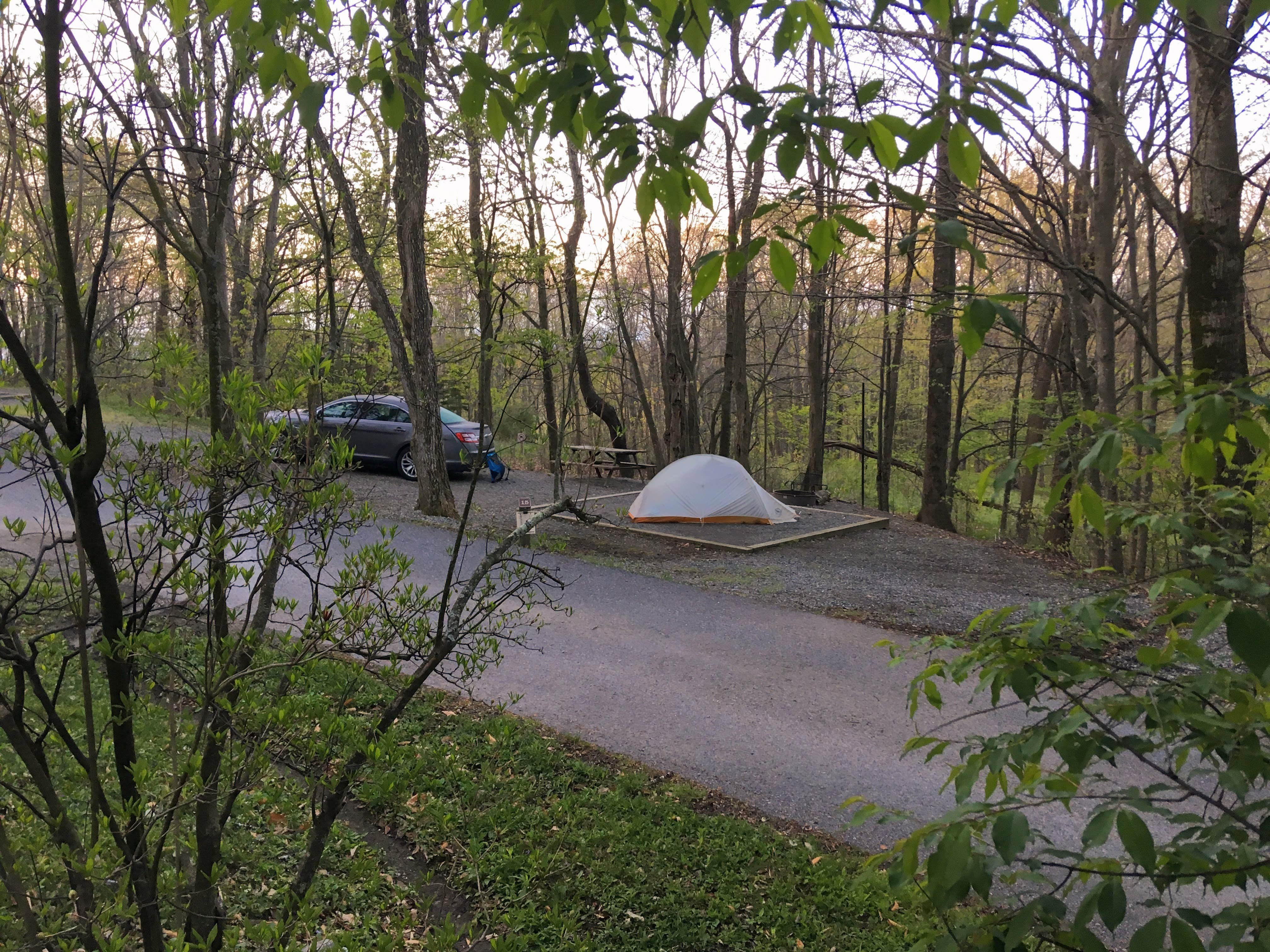 Tara S.'s photo at Hickory Ridge Campground — Grayson Highlands State Park near Troutdale, VA