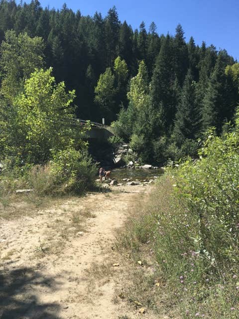 Camper submitted image from Marble Creek Campground - 1