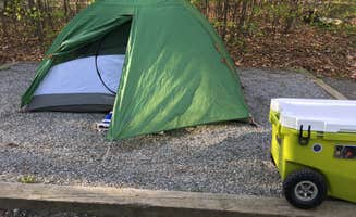 Tara S.'s photo at Hickory Ridge Campground — Grayson Highlands State Park near Crumpler, NC