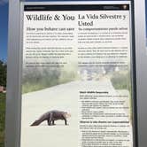 Review photo of Monument Lake Campground — Big Cypress National Preserve by Stephanie Z., May 24, 2019