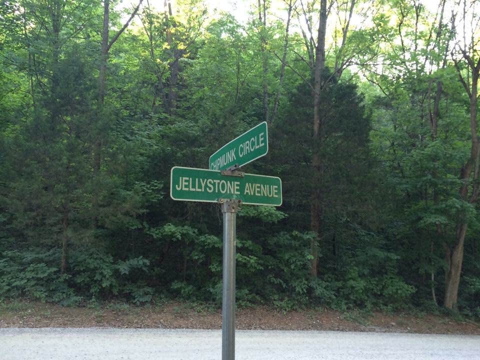 Camper submitted image from Yogi Bear's Jellystone Park at Mammoth Cave - 5