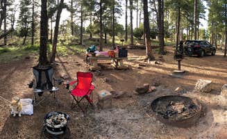 Natty's photo at Mingus Mountain Campground near Prescott Valley, AZ