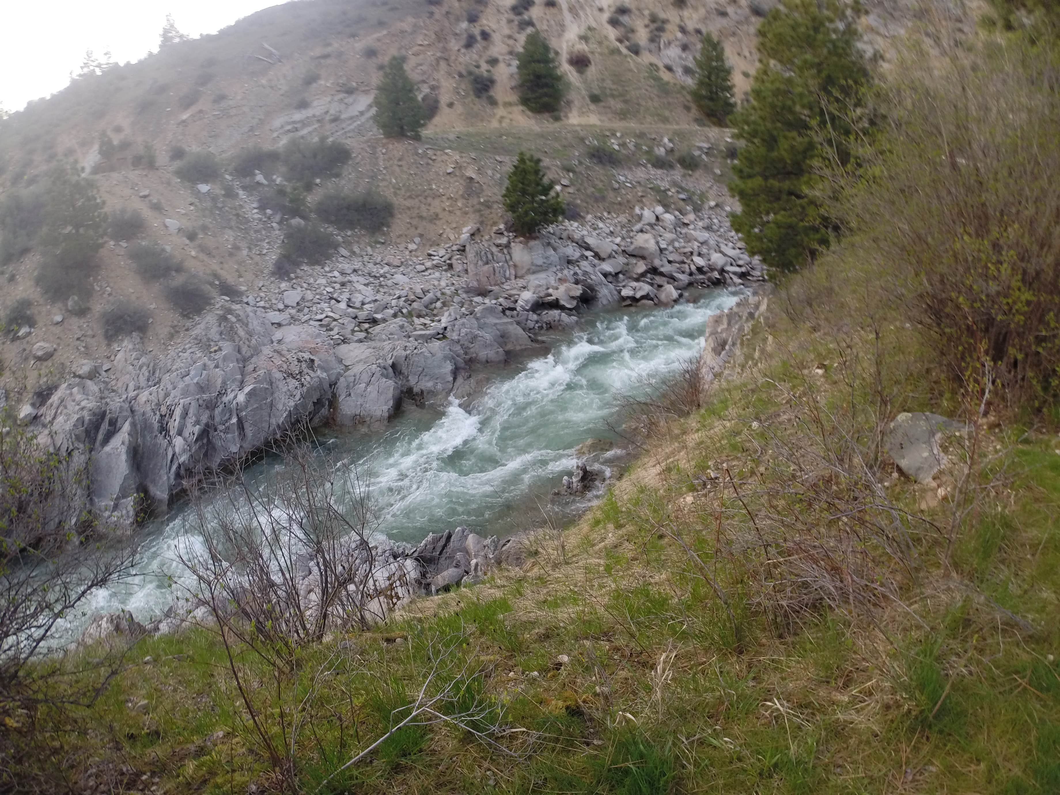 Camper submitted image from Kirkham Campground -- Temporarily CLOSED (Day Use Only) - 3