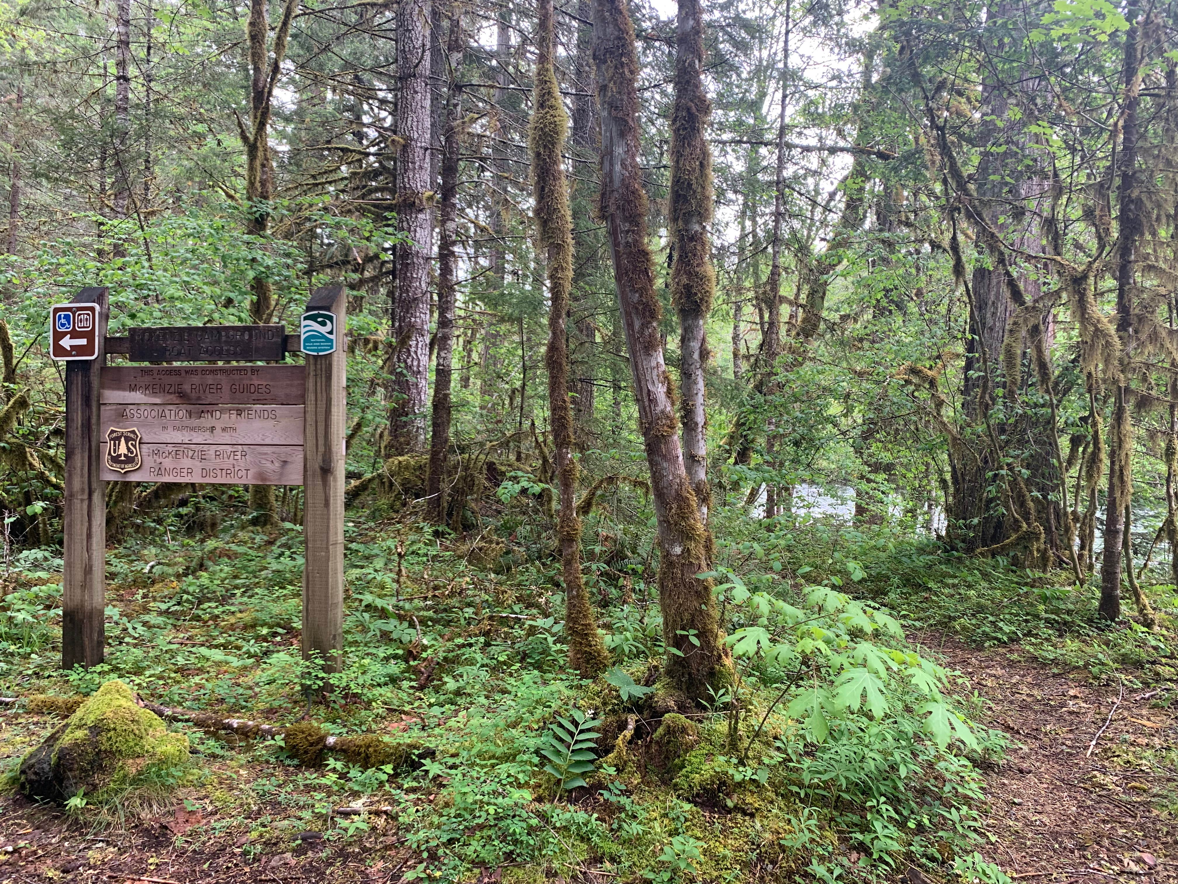 Camper submitted image from Mckenzie Bridge - 4