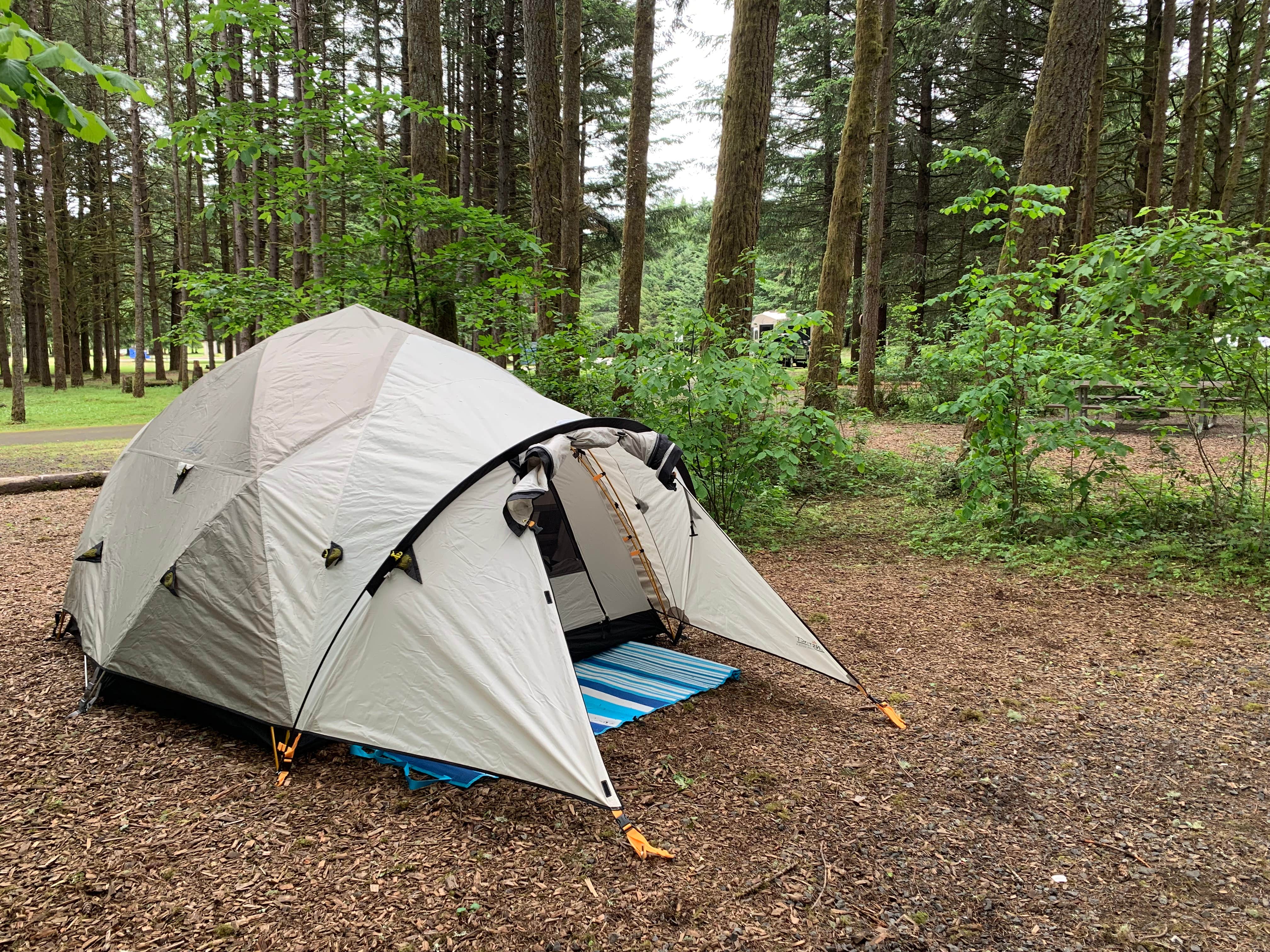 Camper submitted image from Richardson Park & Campground - A Lane County Park - 4