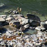 Review photo of Kirkham Campground -- Temporarily CLOSED (Day Use Only) by Katie F., August 30, 2016