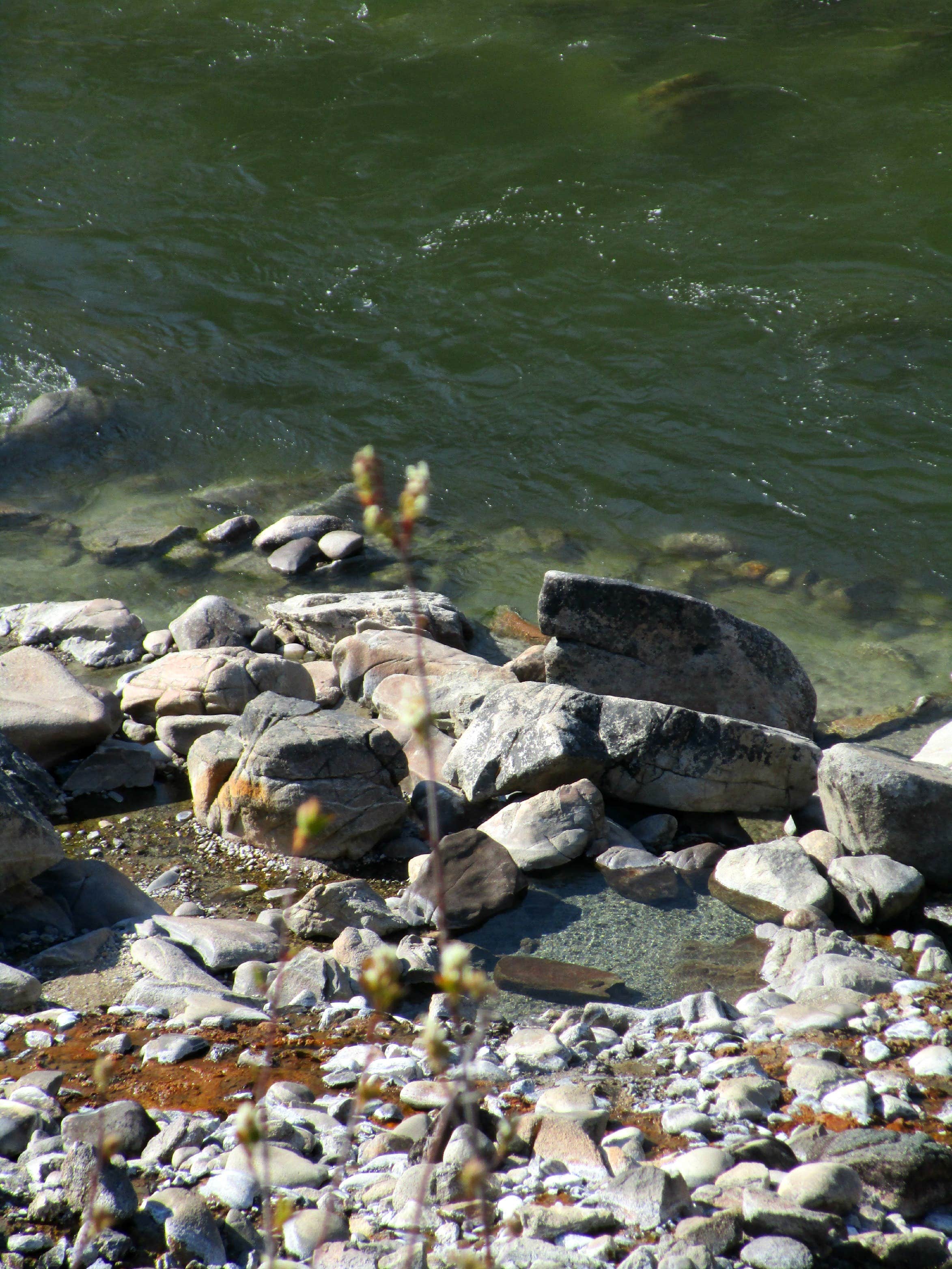 Camper submitted image from Kirkham Campground -- Temporarily CLOSED (Day Use Only) - 2