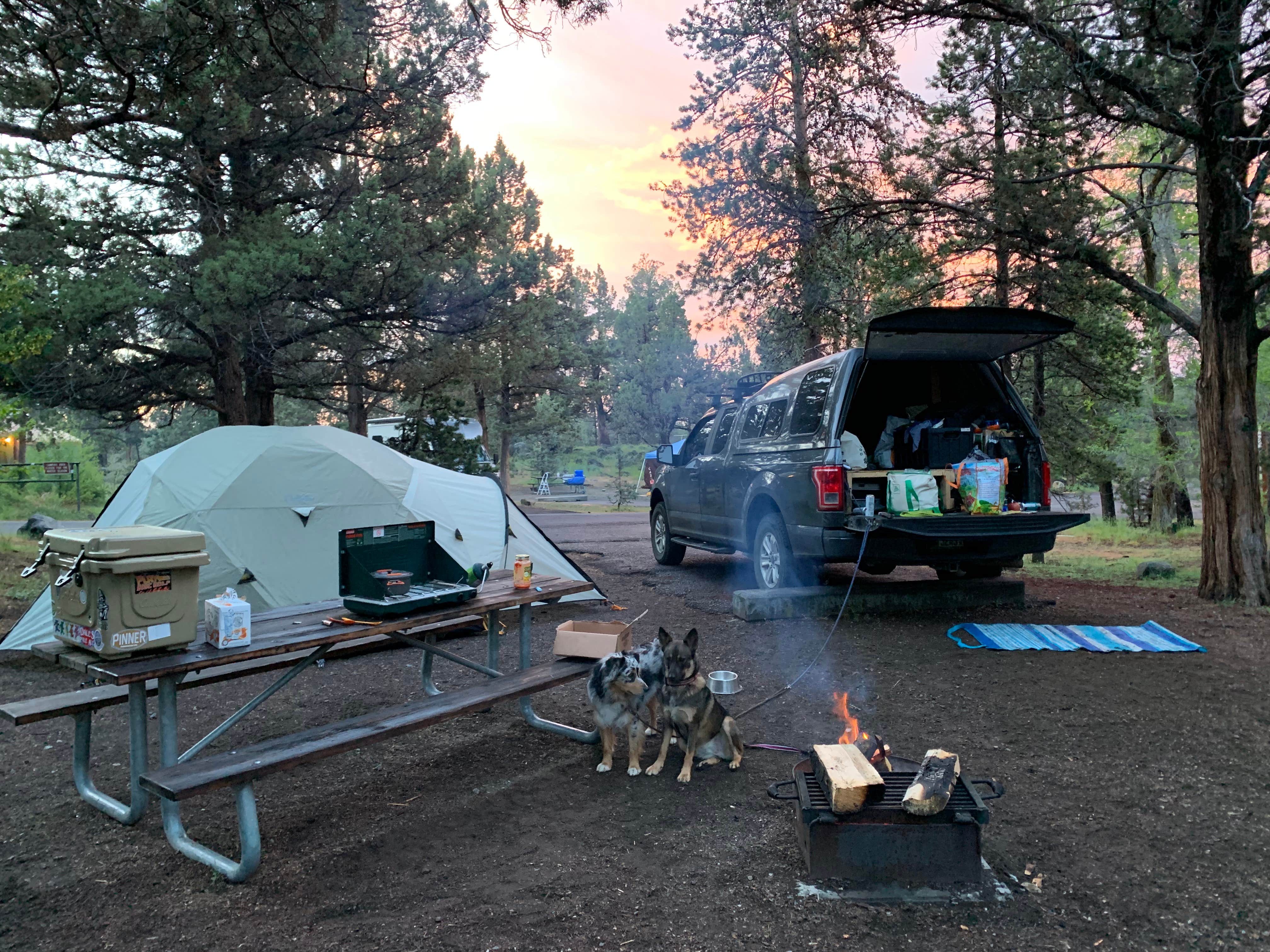 Hannah M.'s photo of camping with pets at Tumalo State Park Campground in Oregon