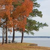 Review photo of COE Walter F George Lake White Oak Creek Campground by Deanna C., May 24, 2019