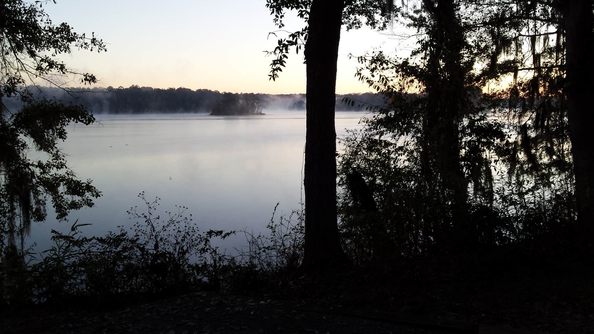 Camper-submitted photo at COE Alabama River Lakes Chilatchee Creek Campground near Marion Junction, AL