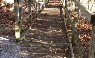Deanna C.'s photo of camping with pets at Chilatchee Creek near Selma, AL