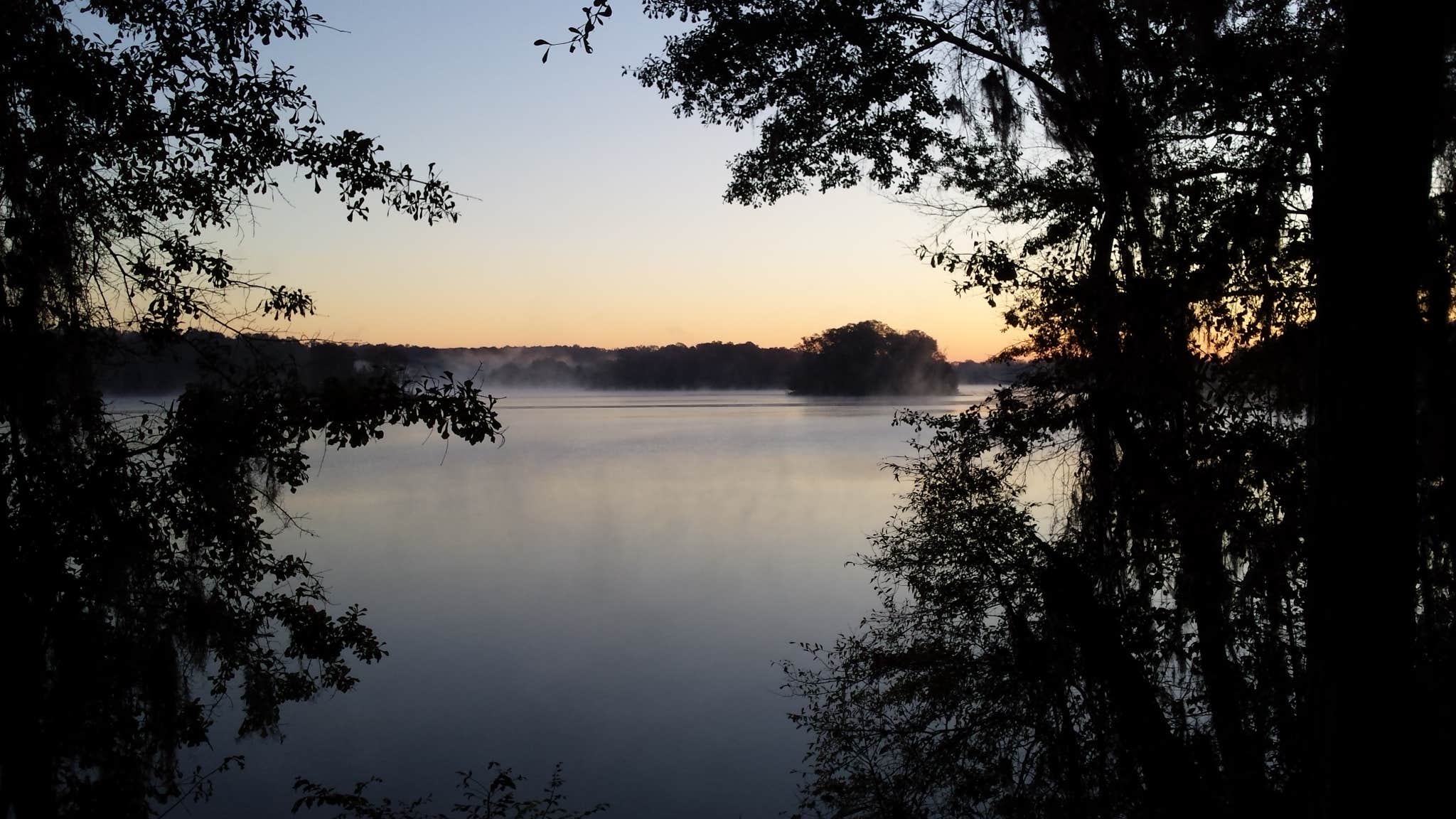 Camper-submitted photo at COE Alabama River Lakes Chilatchee Creek Campground near Marion Junction, AL