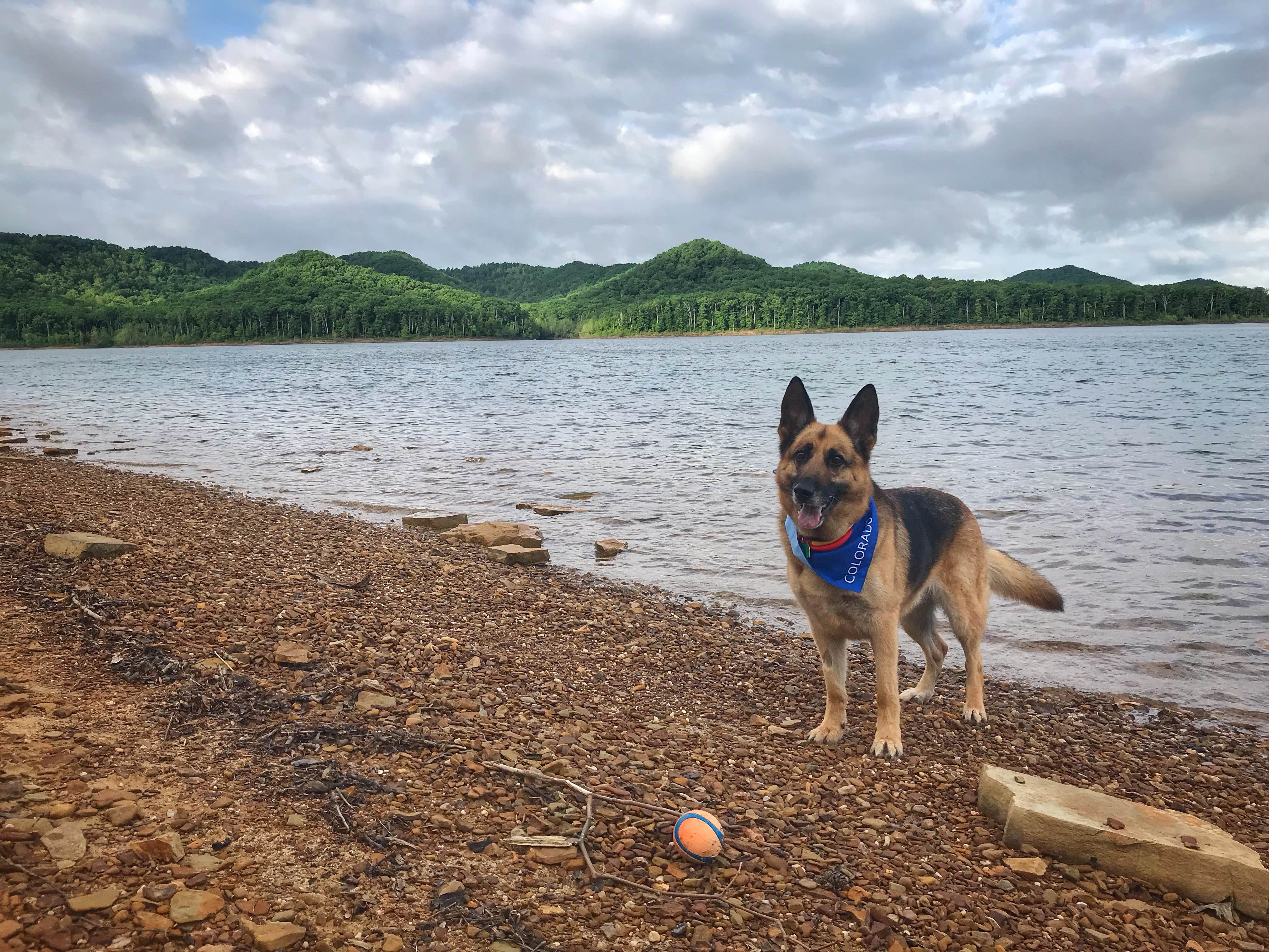 Megan V.'s photo of camping with pets at Twin Knobs Recreation Area near Daniel Boone National Forest