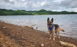 Megan V.'s photo of camping with pets at Twin Knobs Recreation Area near Paintsville, KY