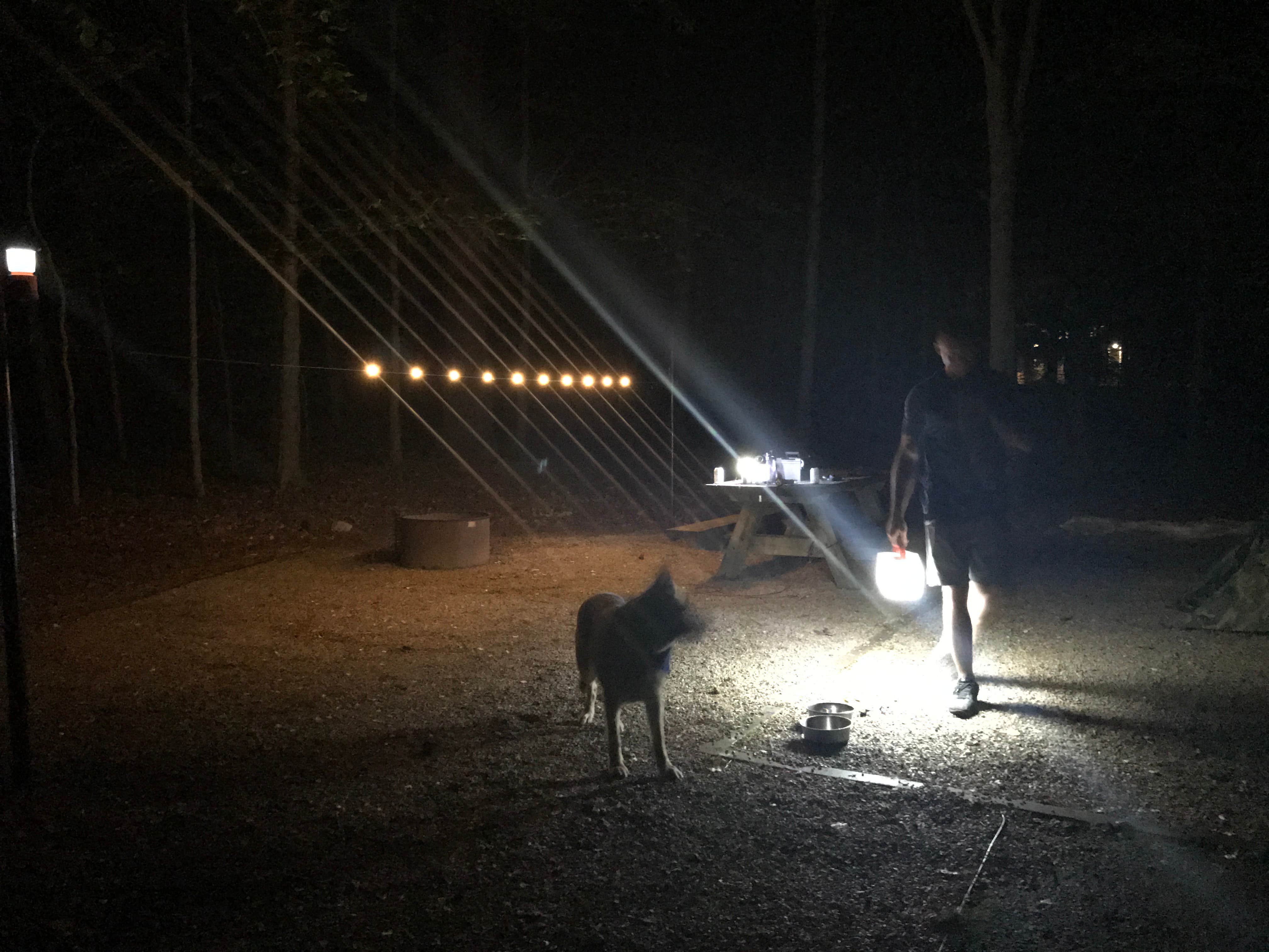 Megan V.'s photo of camping with pets at Twin Knobs Recreation Area near Manchester, OH