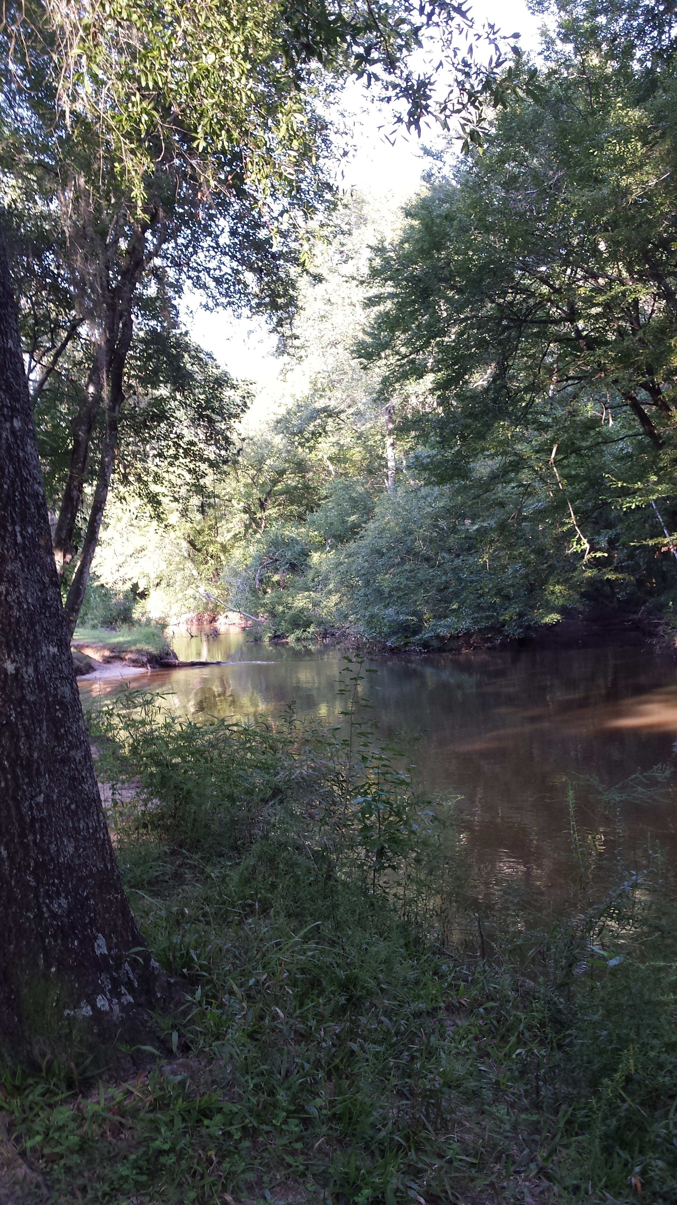 Meandering creek.