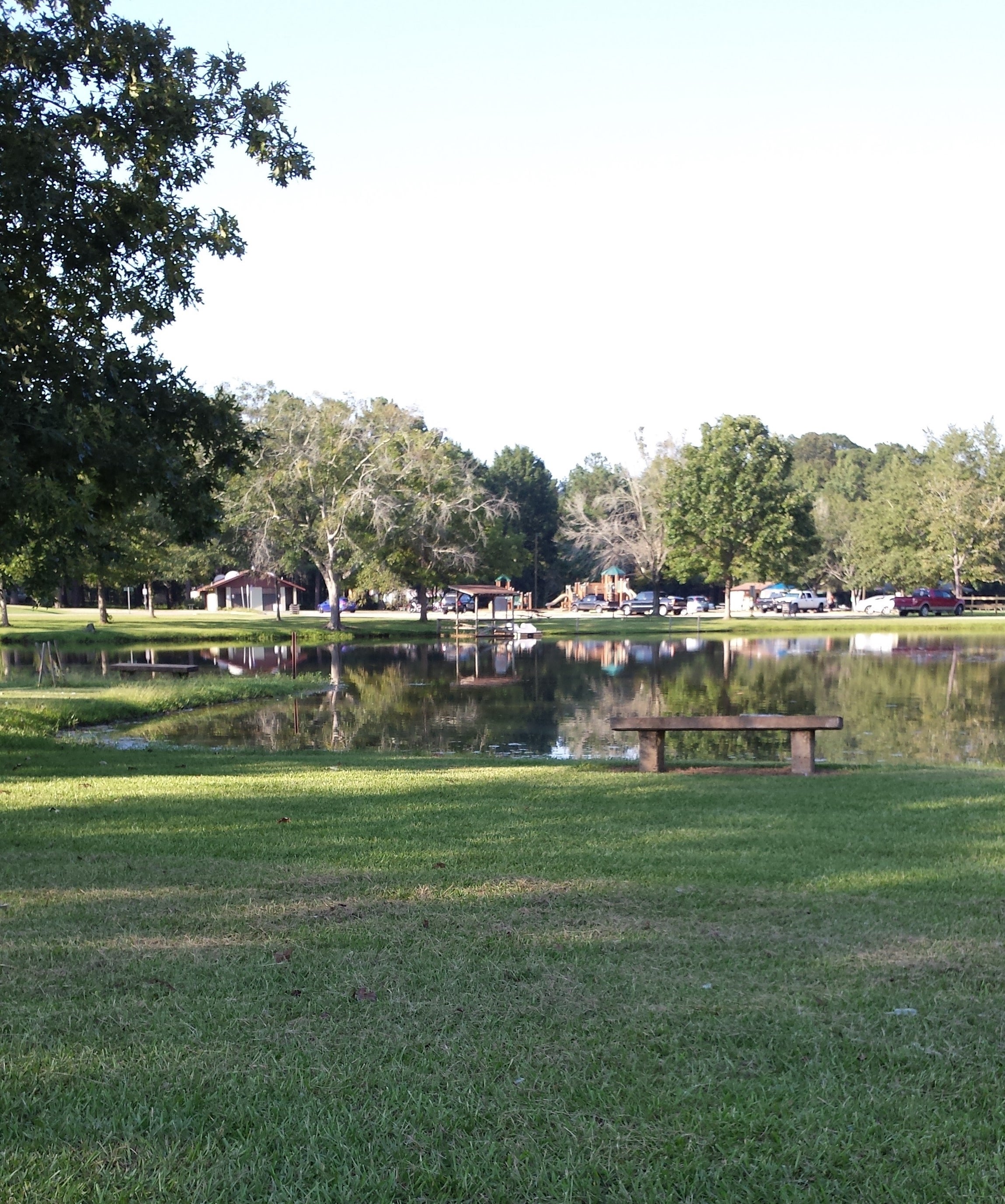 Peaceful pond near playground.