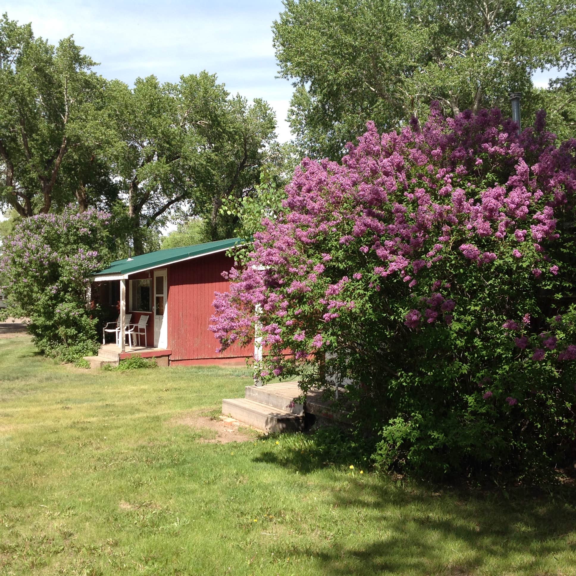 Camper-submitted photo at Mogote Meadow Cabins & RV Park near Antonito, CO