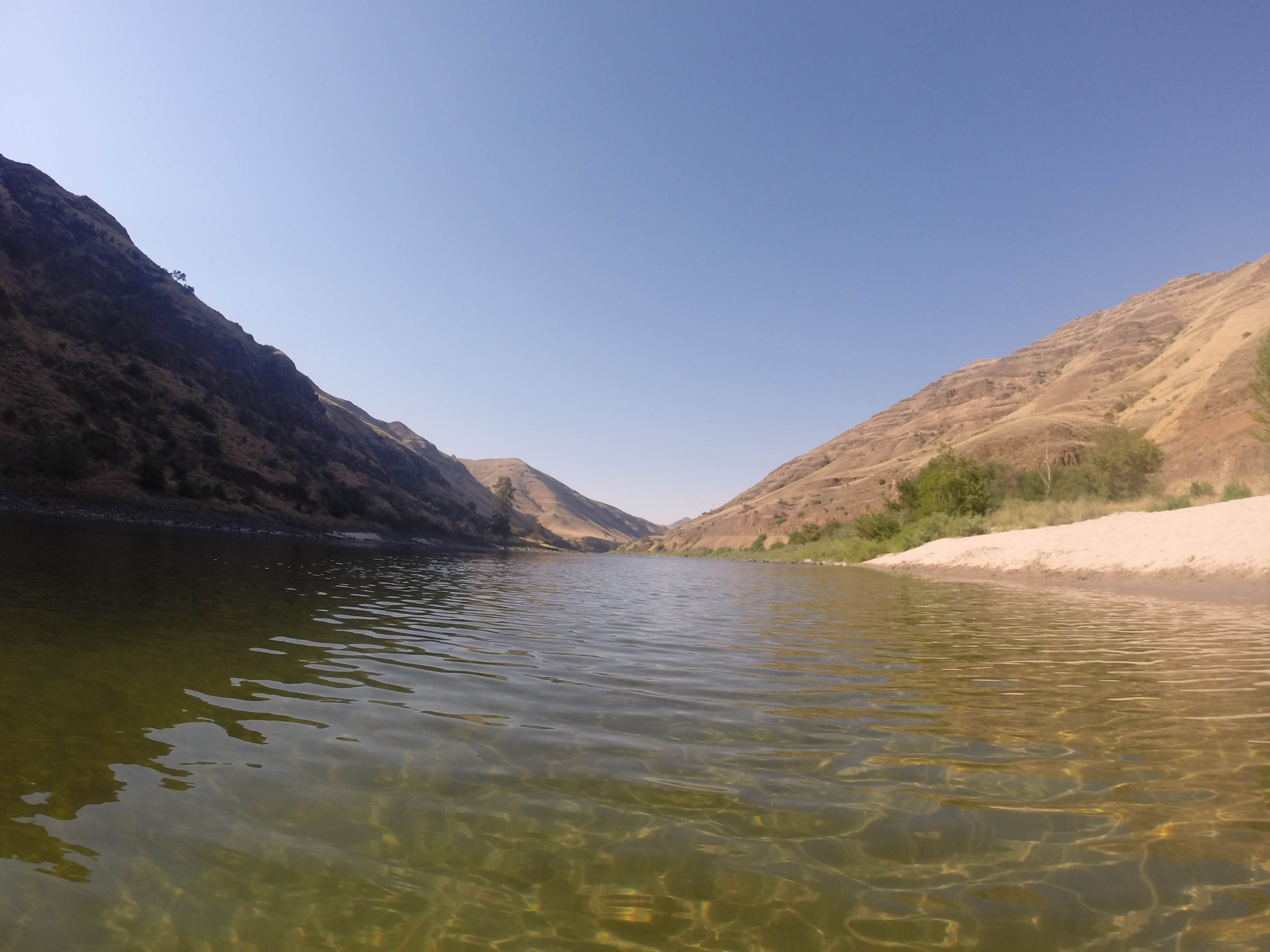 Camper-submitted photo at Salmon River Campground near Clayton, ID