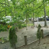 Review photo of The Surf n Stream Campground - Permanently Closed by Cat R., May 24, 2019