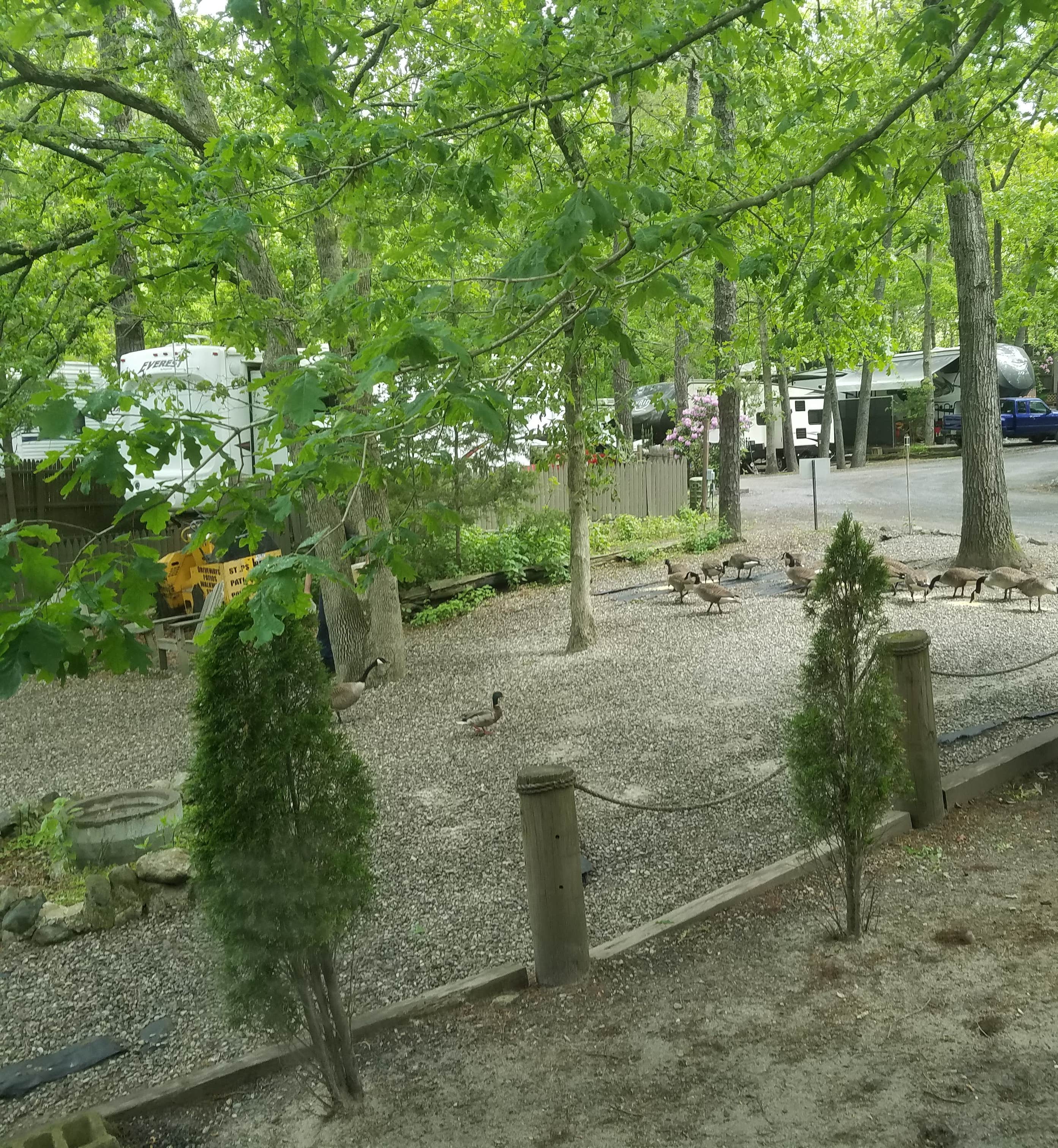 Camper submitted image from The Surf n Stream Campground - Permanently Closed - 5