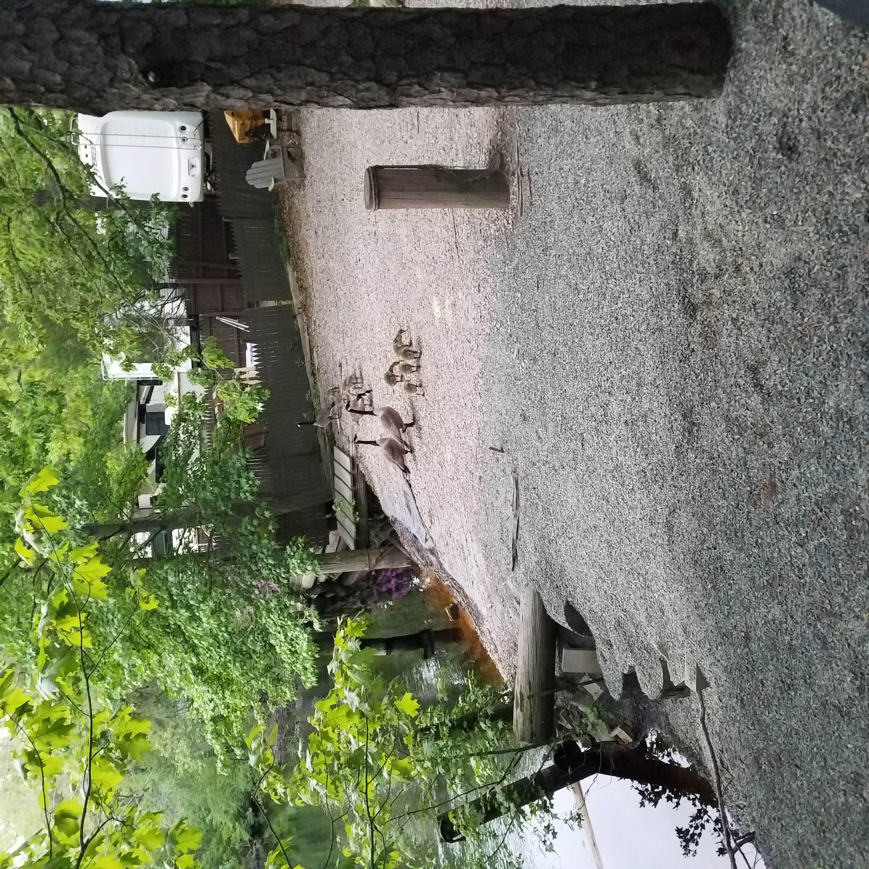 Camper submitted image from The Surf n Stream Campground - Permanently Closed - 4