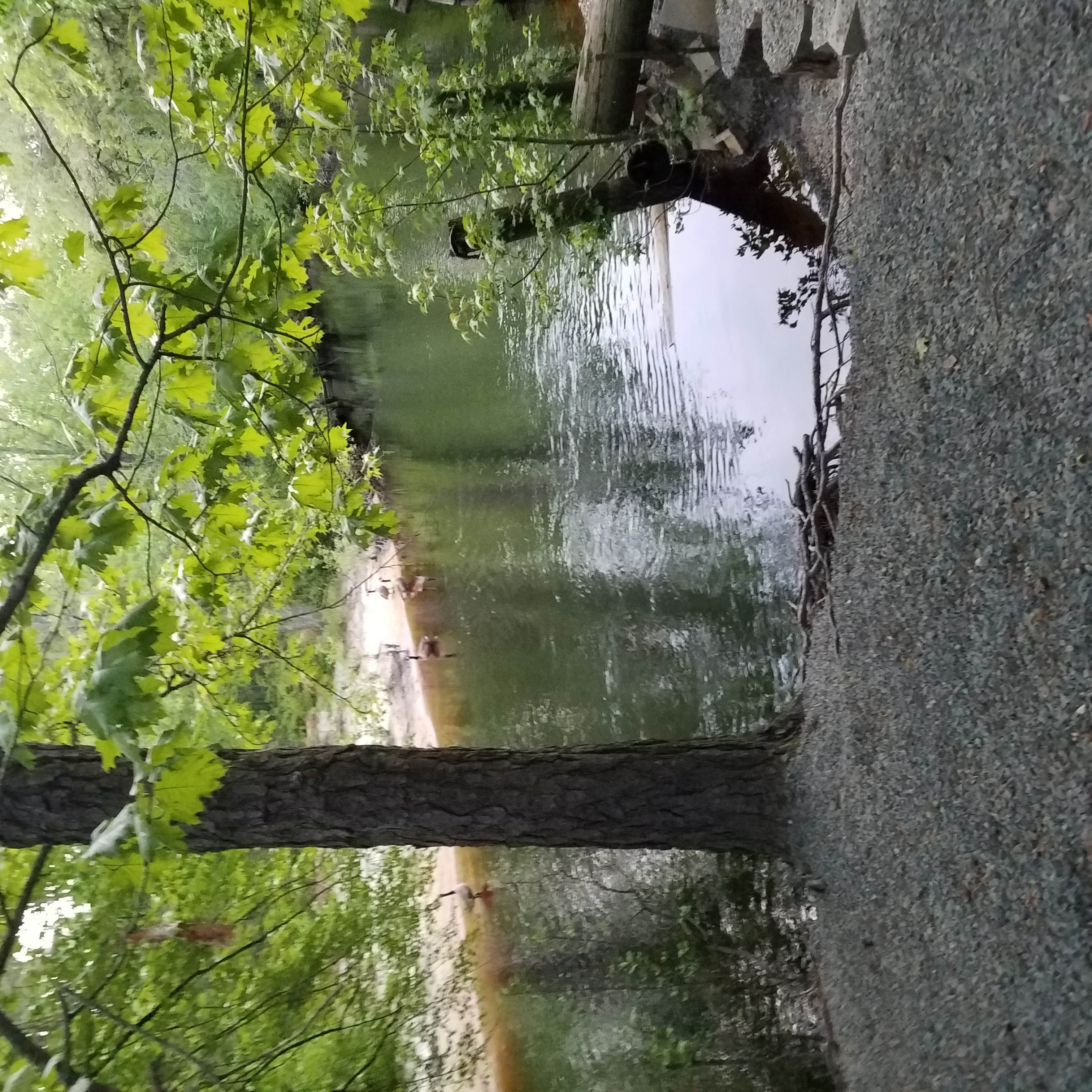 Camper submitted image from The Surf n Stream Campground - Permanently Closed - 1