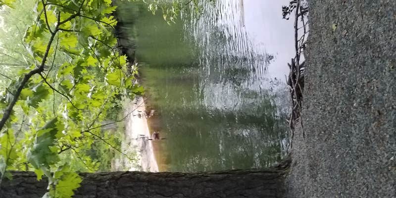 Camper submitted image from The Surf n Stream Campground - Permanently Closed