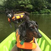 Review photo of Nolin Lake State Park Campground by Shelly S., June 30, 2016