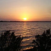 Review photo of Carolina Beach State Park Campground by Laura S., May 24, 2019